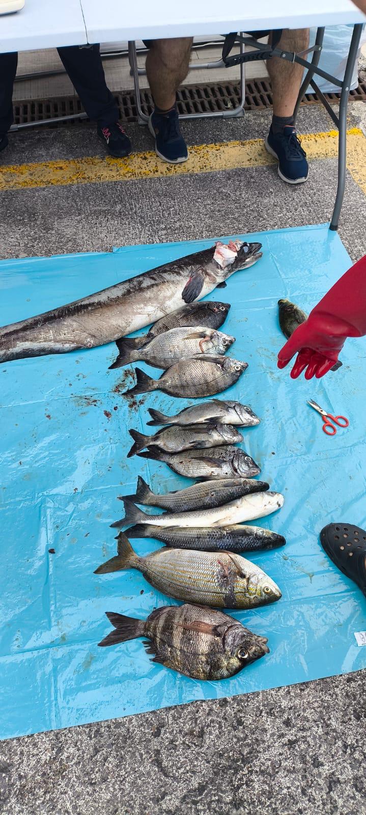 Celebrado el Campeonato Navarro por equipos y Open de pesca submarina